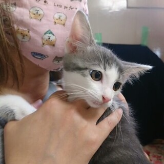 好奇心旺盛わくわく   つくちゃん