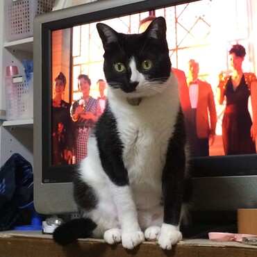 の写真