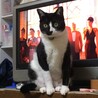 の写真