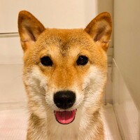 リコ