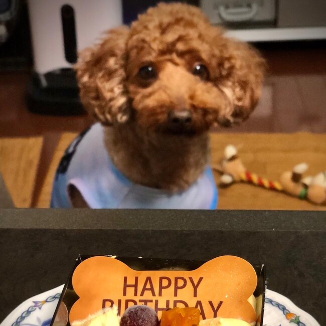 はるちき☆のカバー写真