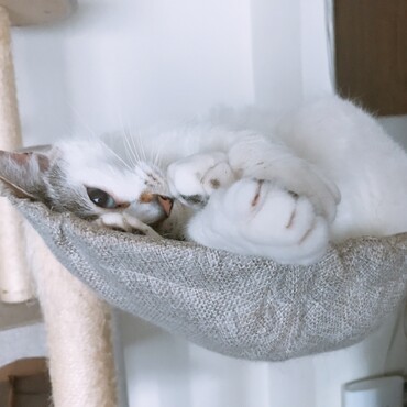 の写真