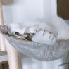の写真