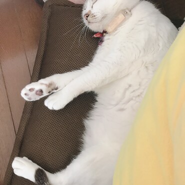 の写真