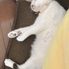 の写真