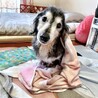 お風呂上がり