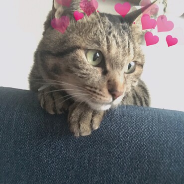 の写真