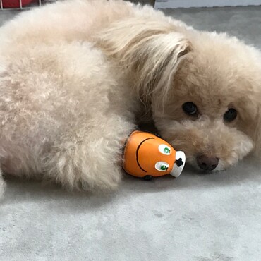 お気に入りのたまごちゃん♡