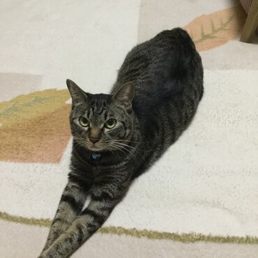 の写真