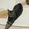 の写真
