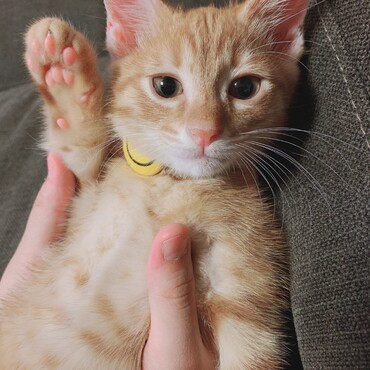 の写真