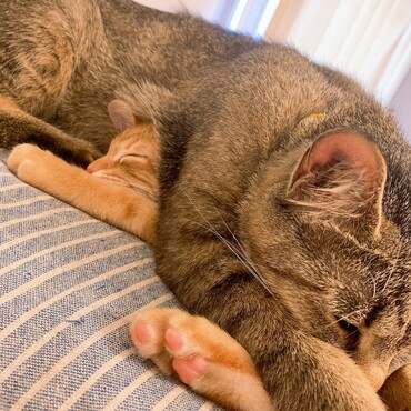 の写真