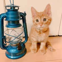 うに