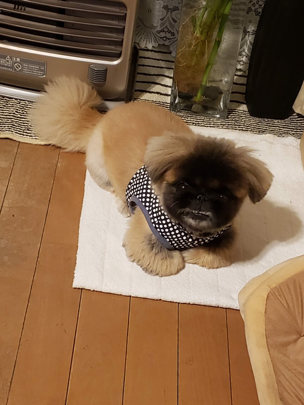 はな