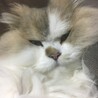 みぃ〜ちゃん