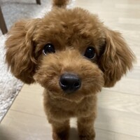 ナル