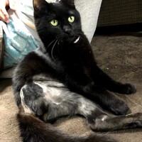 スイ