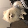 の写真
