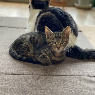 の写真