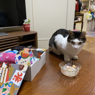 日向多の写真
