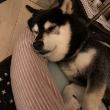 寝るとこ