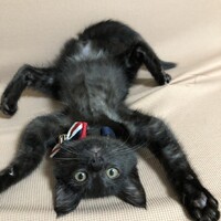 もぐ