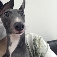 れん