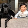 の写真