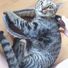 プチまま