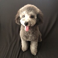 ベル