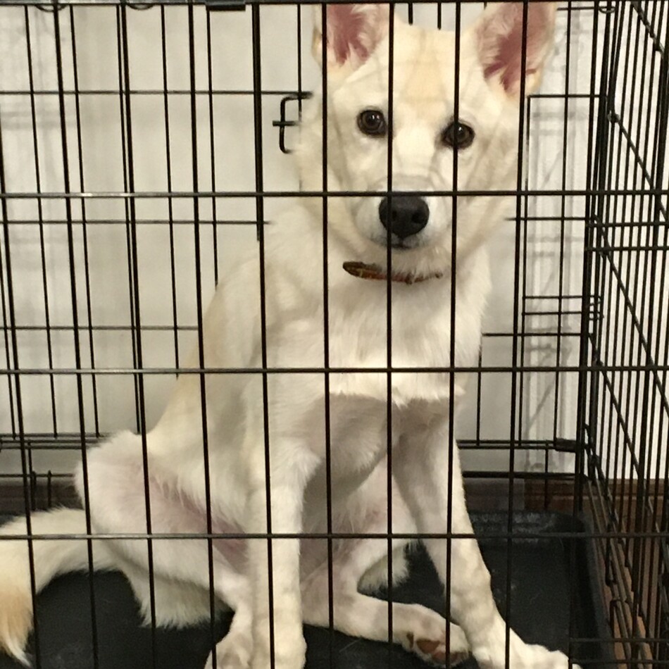 珠洲のカバー写真