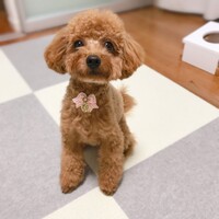 ふぅ