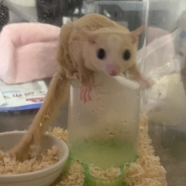 の写真