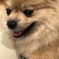 ルナ