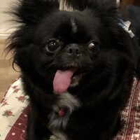 チョア