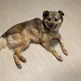 穏やか女子「ブイ」