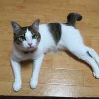 ラク