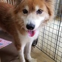 おっとり優しいカオリちゃん
