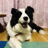 の写真