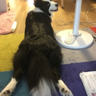 の写真