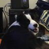 の写真