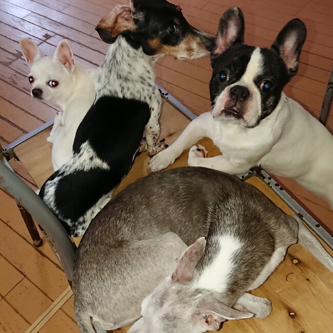 リーフンのカバー写真