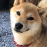 の写真