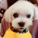 家族に捨てられ脳障害を抱えながら健気に生きるしん君