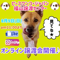 オンライン譲渡会