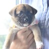 赤ちゃん時代