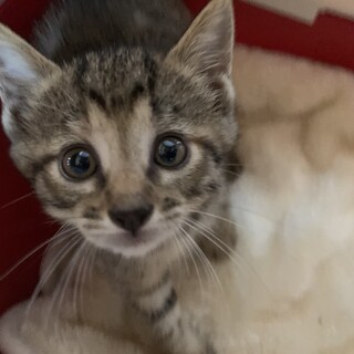 家族が出来ました♡甘えん坊♀良品ちゃん