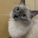 綺麗好きの男の子です