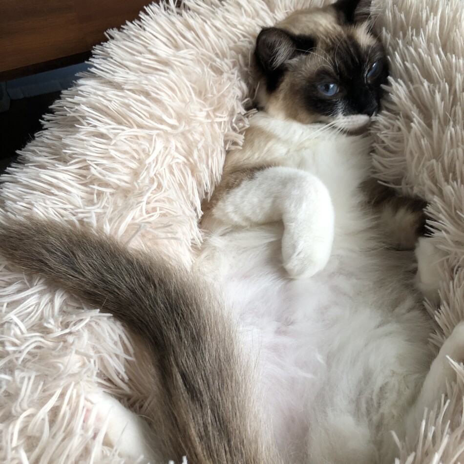 マリンのカバー写真