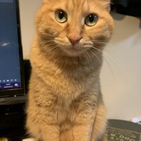 とらじ
